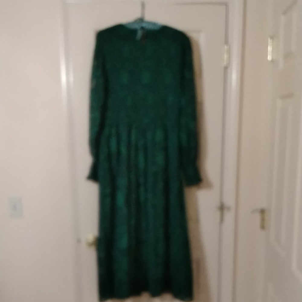 Emerald Green Long Sleeve Tiered Maxi Dress - Picture 3 of 7